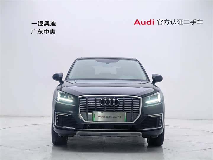 Audi Q2L e-tron 2019 2019款 Q2L e-tron 纯电智享型