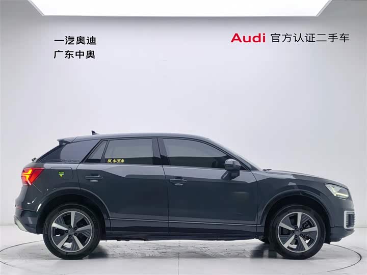 Audi Q2L e-tron 2019 2019款 Q2L e-tron 纯电智享型