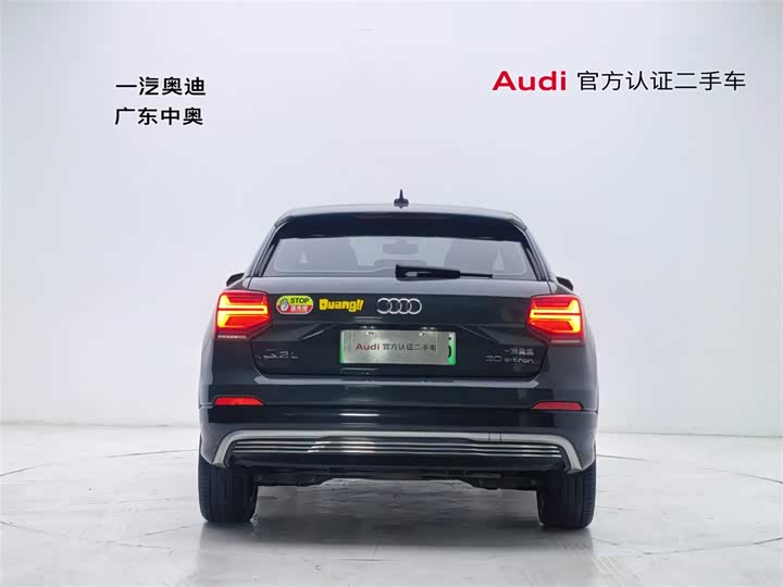 Audi Q2L e-tron 2019 2019款 Q2L e-tron 纯电智享型