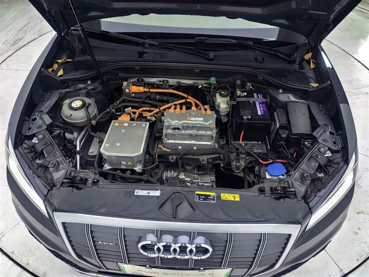 Audi Q2L e-tron 2019 2019款 Q2L e-tron 纯电智享型