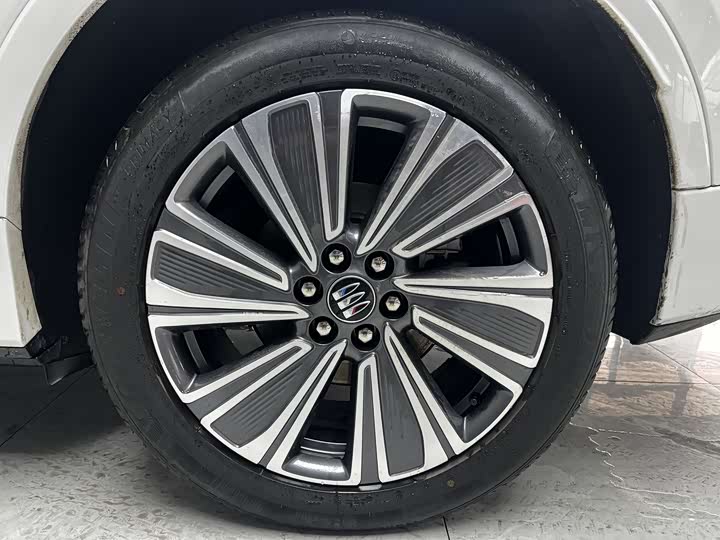 Buick Electra E5 2024 2024款 臻享标续影音版