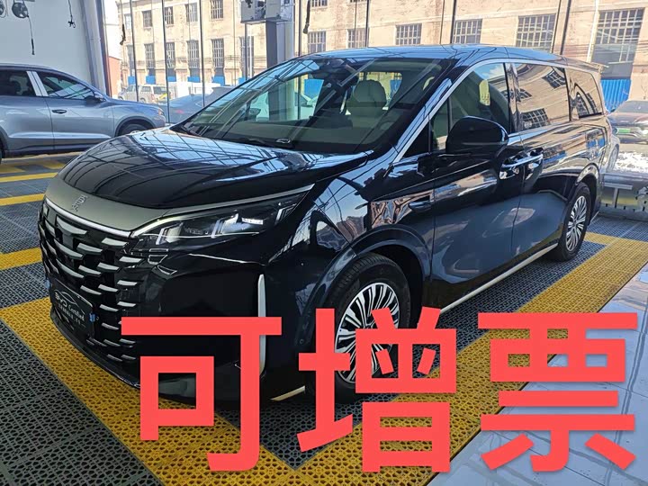 BYD Xia 2025 2025款 DM-i 1.5T 180km 超越型