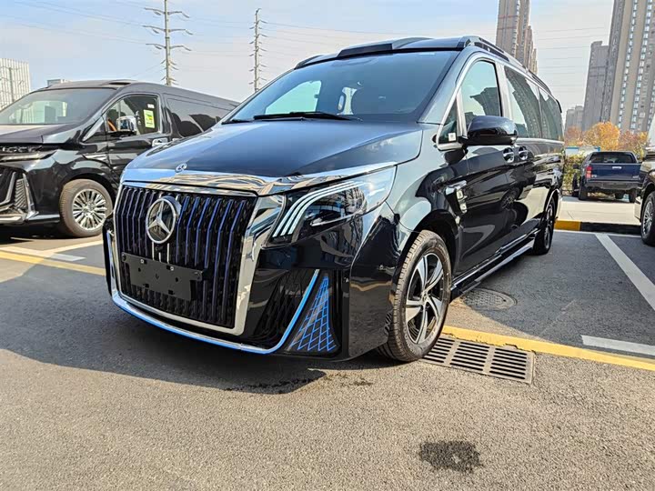 Mercedes-Benz Vito 2024 2024款 2.0T 商务版 7座