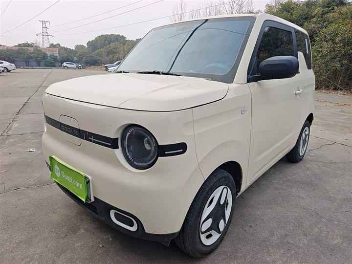 Geely Galaxy Panda Mini 2025 2025款 熊猫mini 210km 元气熊