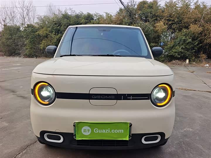 Geely Galaxy Panda Mini 2025 2025款 熊猫mini 210km 元气熊
