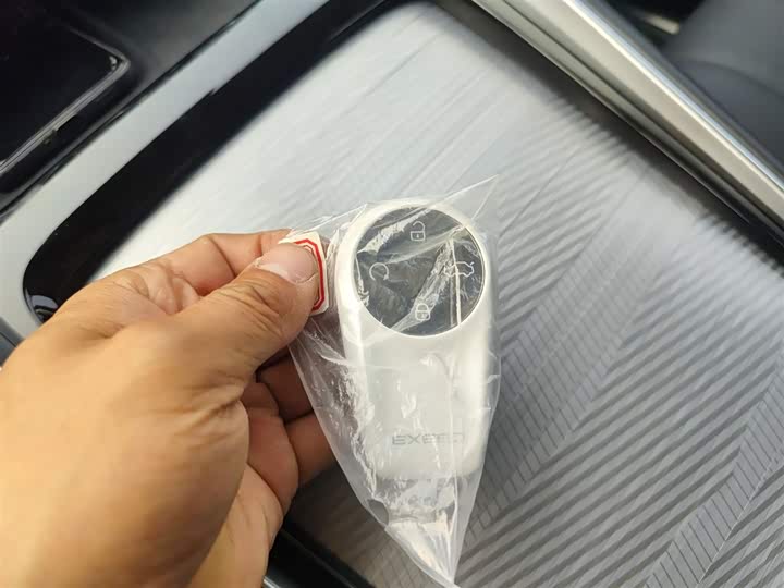 Exeed TXL 2025 2025款 300T 两驱王者版