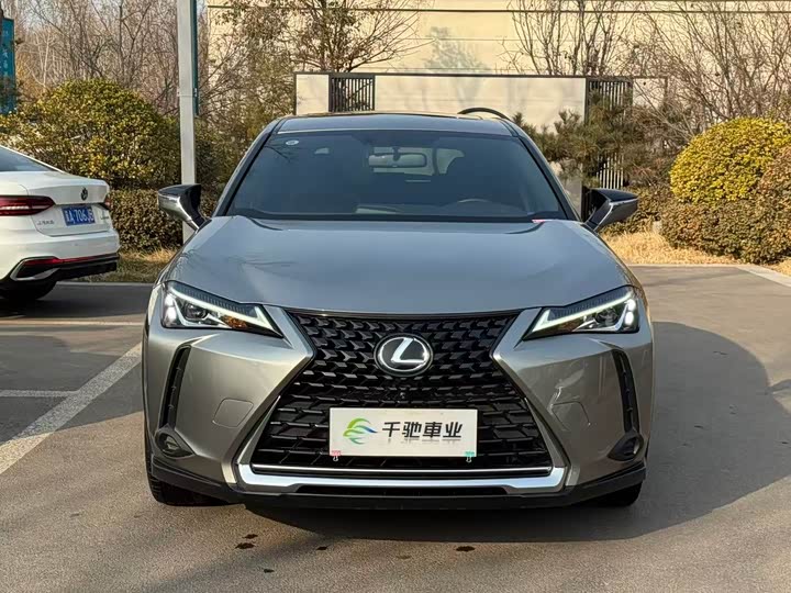 Lexus UX 2020 2020款 200 特别版