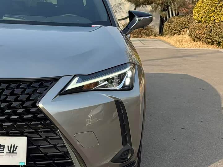 Lexus UX 2020 2020款 200 特别版