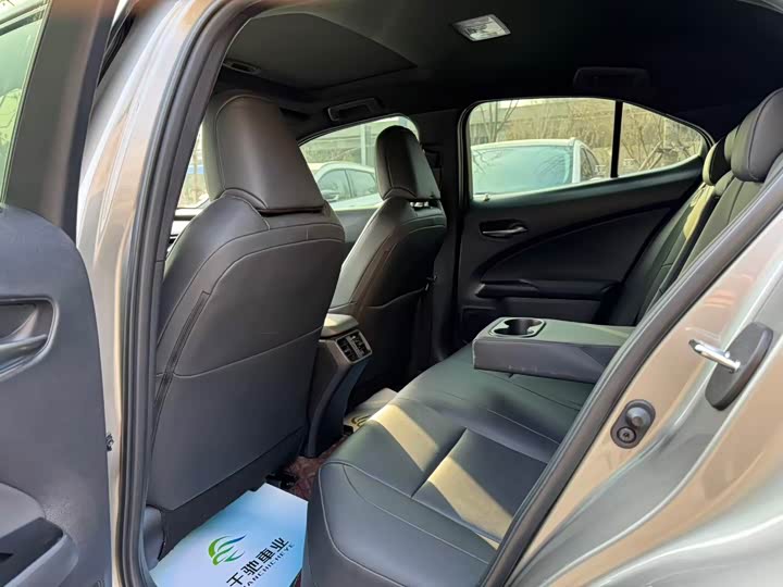 Lexus UX 2020 2020款 200 特别版