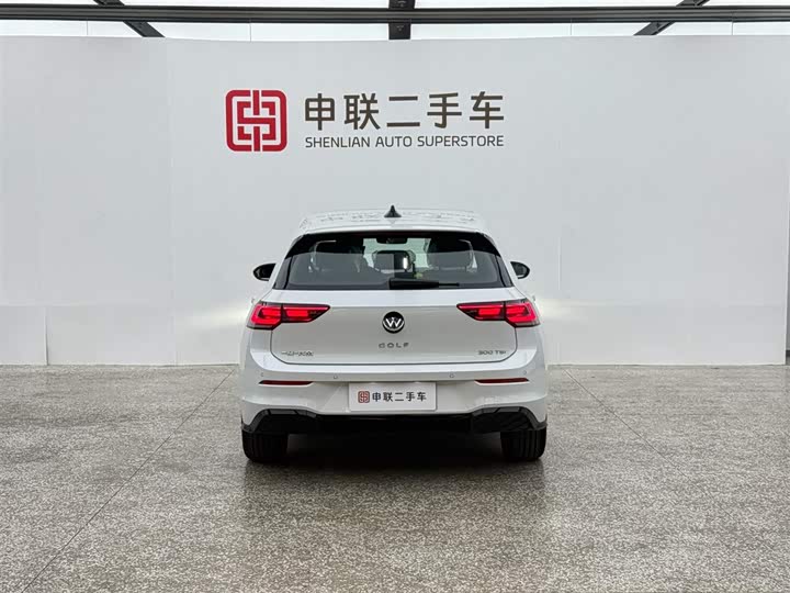 Volkswagen Golf 2025 2025款 300TSI R-Line