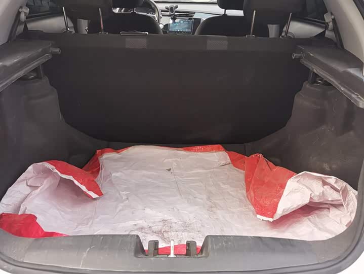 Chery Tiggo 3x 2024 2024款 1.5L CVT卓越版