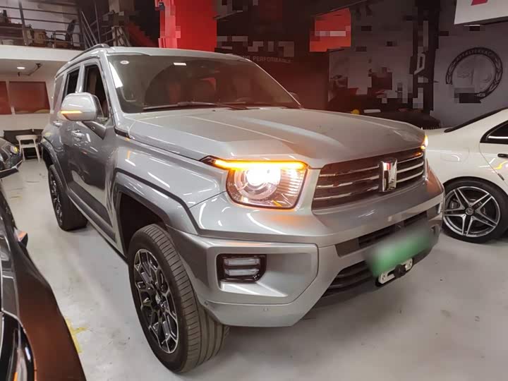 Tank 700 Hybrid 2024 2024款 Hi4-T 极境版