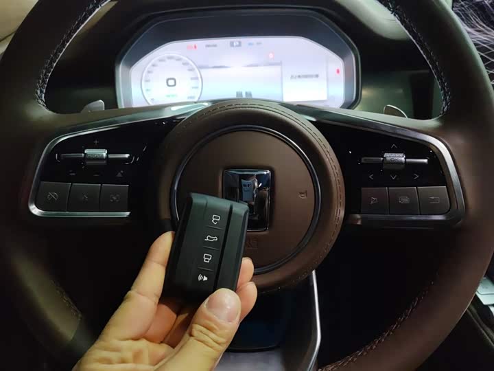 Tank 700 Hybrid 2024 2024款 Hi4-T 极境版