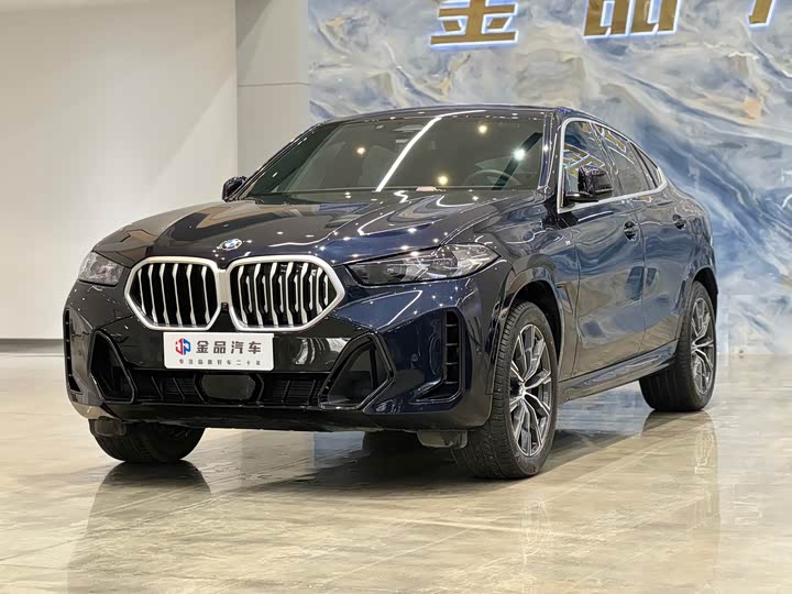 2023 BMW X6