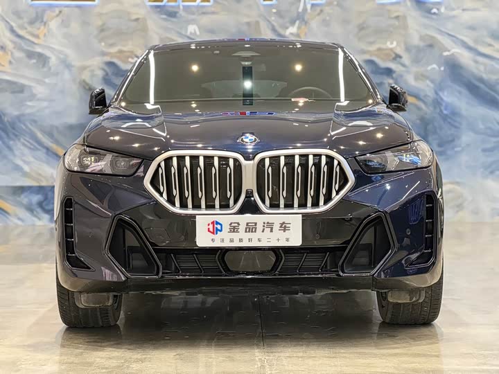 2023 BMW X6