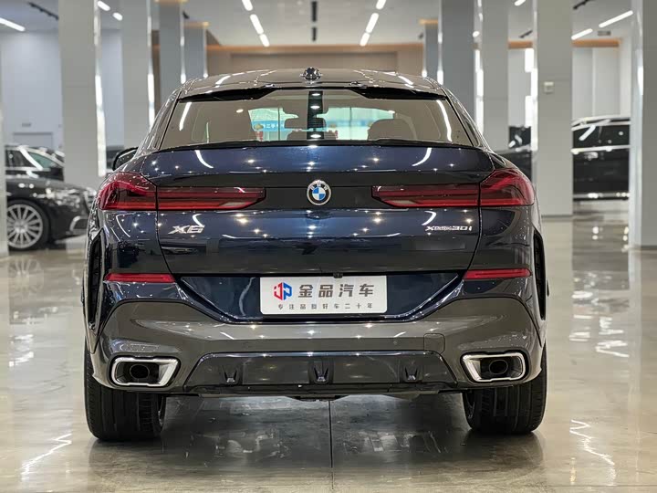 2023 BMW X6
