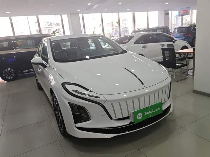 Hongqi E-QM5 2023 2023款 基础出行版