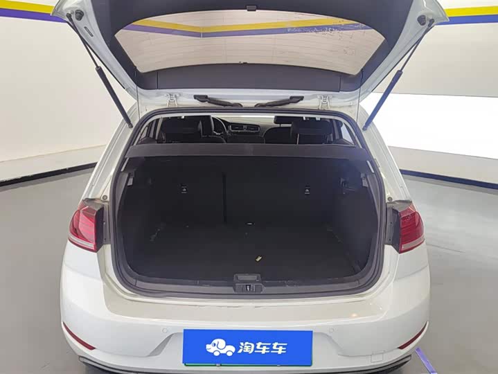 Volkswagen Golf EV 2020 2020款 驰