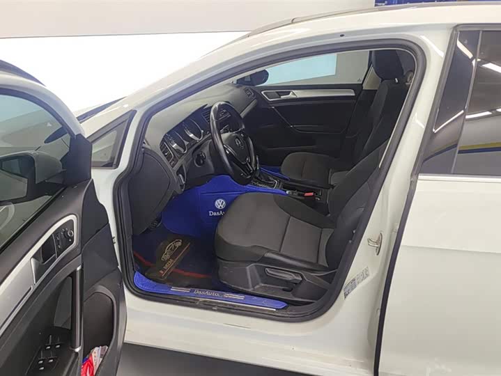 Volkswagen Golf EV 2020 2020款 驰