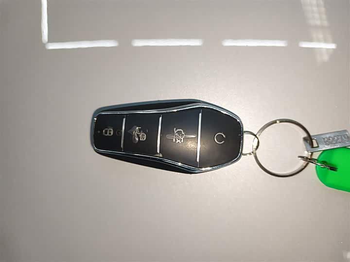 BYD Yuan Plus 2025 2025款 智驾版 510KM 超越型