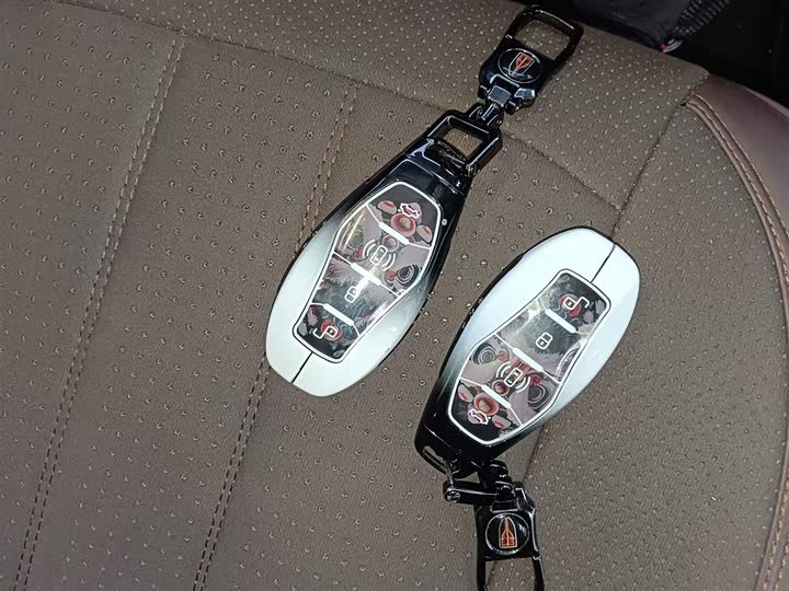 Hongqi HS3 Hybrid 2025 2025款 117km 劲为版