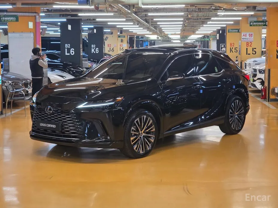 Lexus RX 2023 Luxury