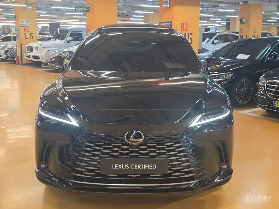 Lexus RX 2023 Luxury