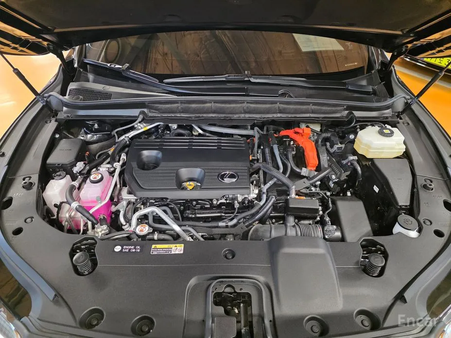 Lexus RX 2023 Luxury