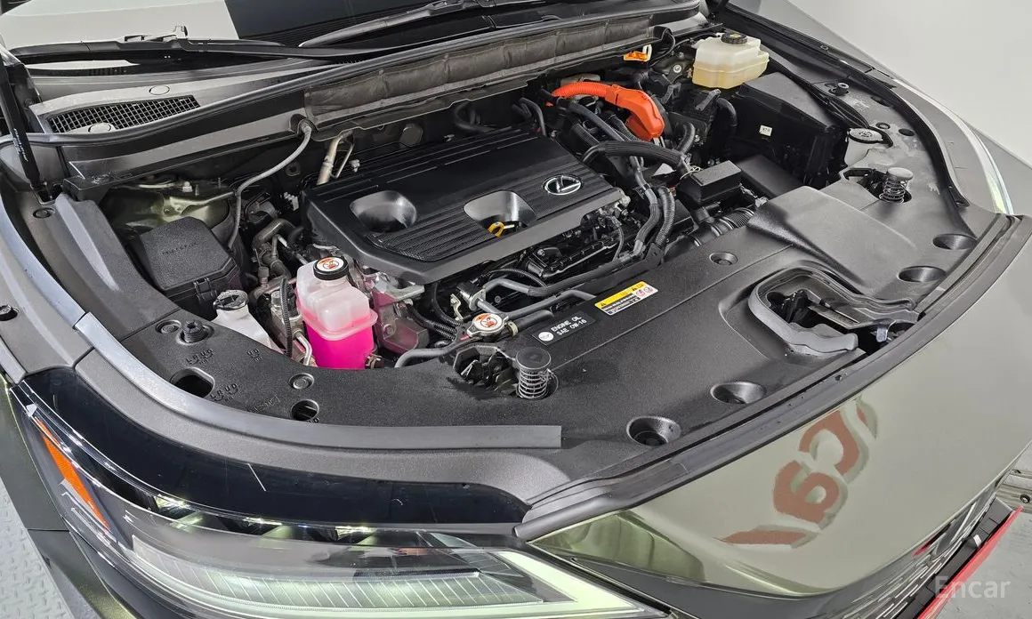 Lexus RX 2023 Luxury