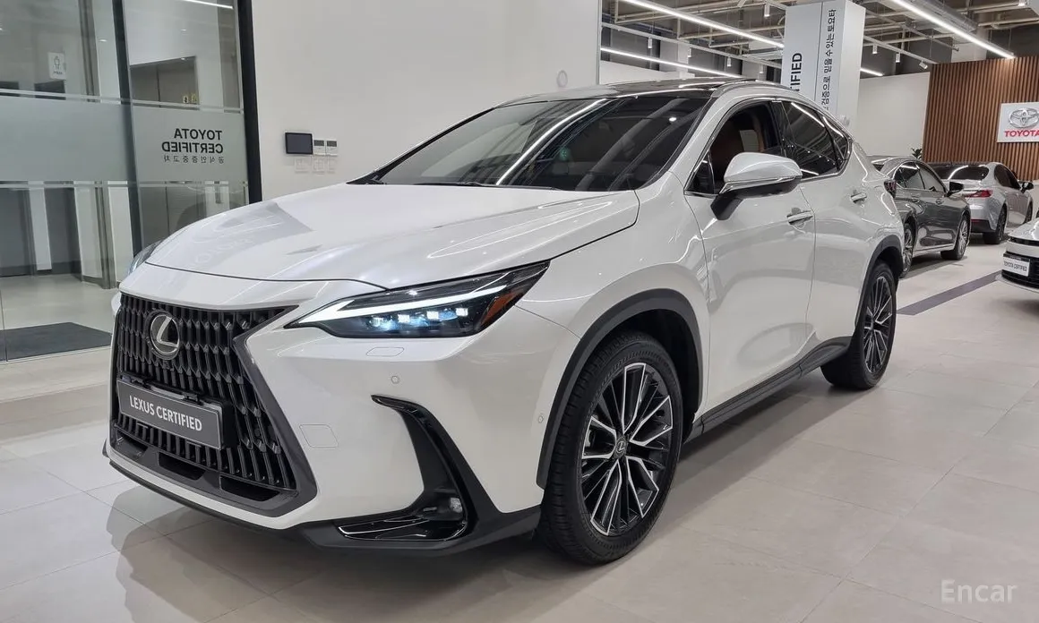 Lexus NX 2022 Luxury