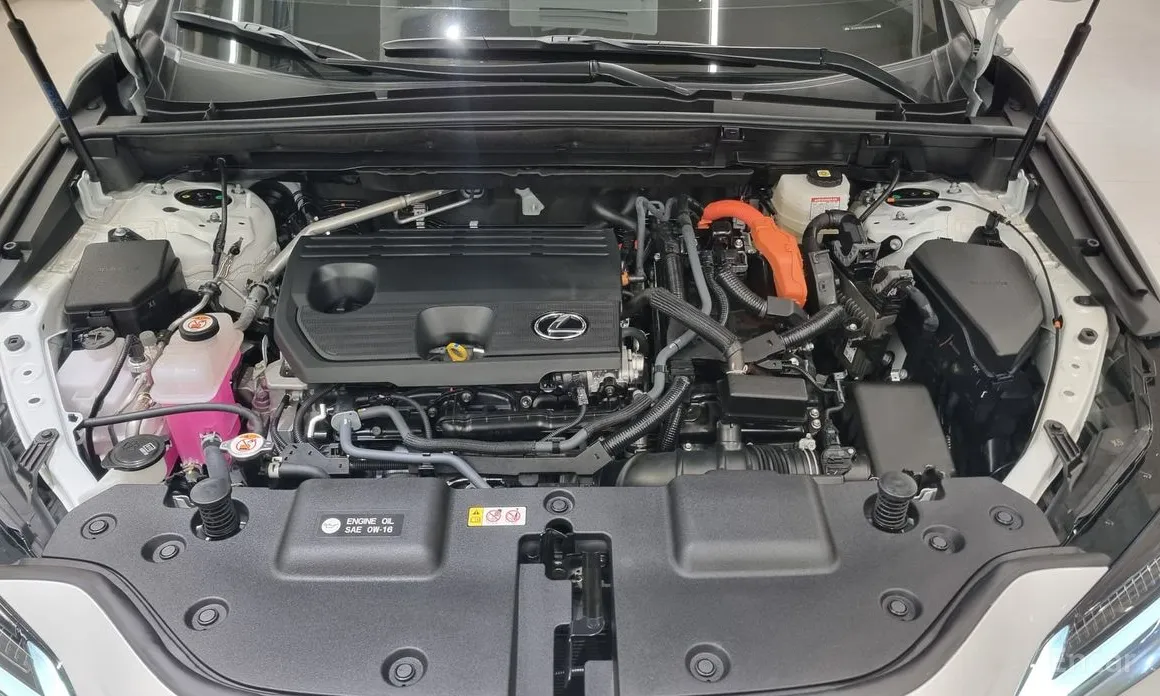 Lexus NX 2022 Luxury