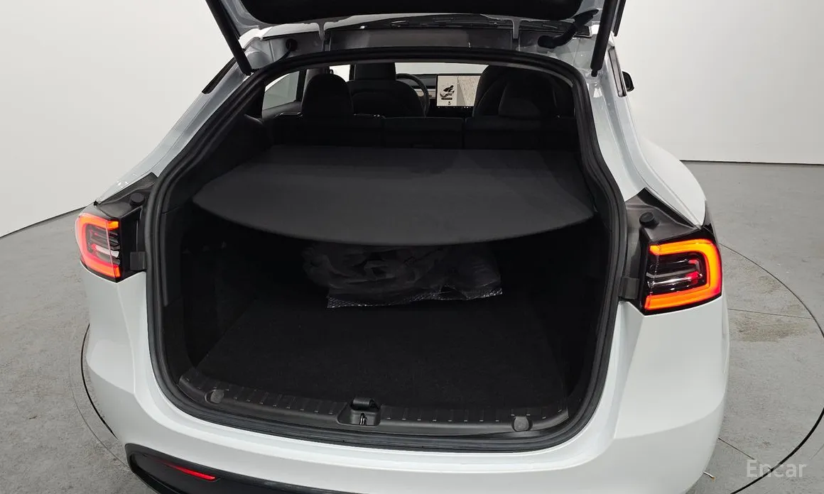 Tesla Model Y 2020 RWD