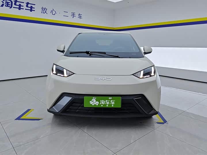 BYD Seagull 2025 2025款 305km 自由版