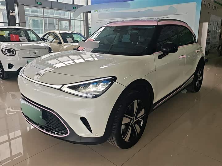 Smart #1 2024 2024款 灵动标准版