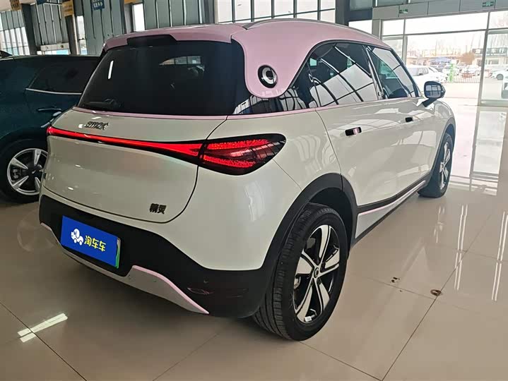 Smart #1 2024 2024款 灵动标准版