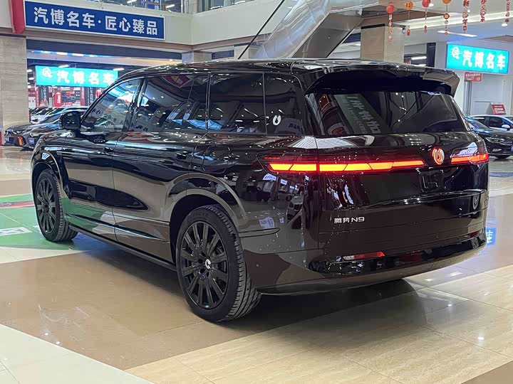 Denza N9 2025 2025款 旗舰型
