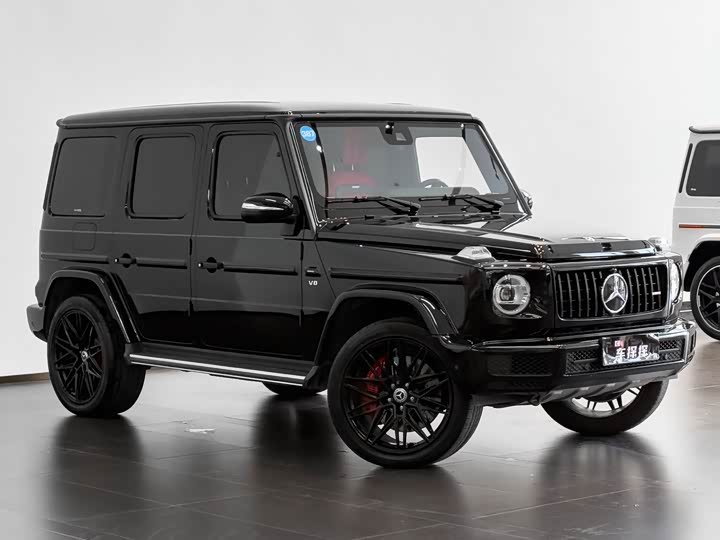 Mercedes-Benz G-Class 2024 2024款 G 500