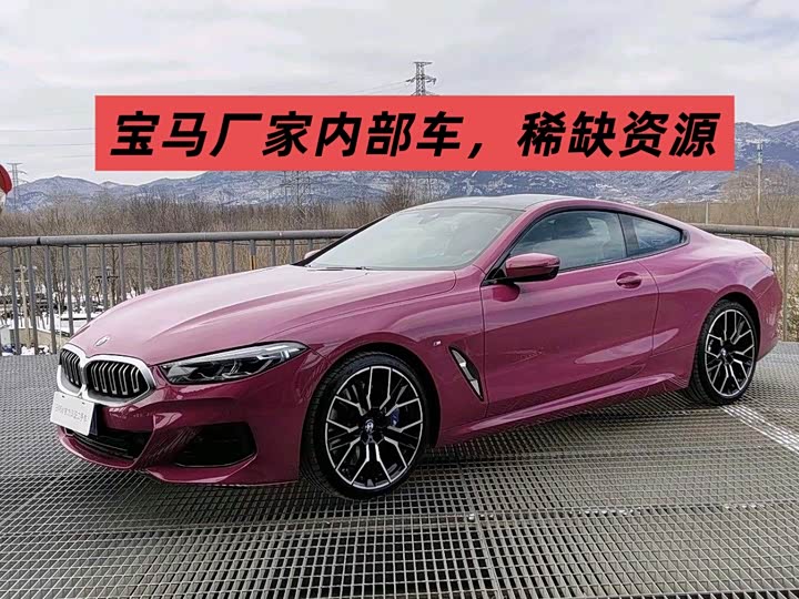 2022 BMW 8 Series
