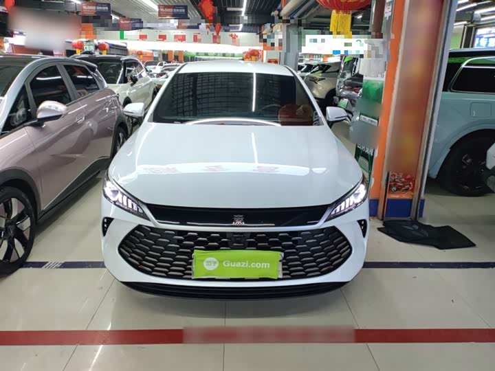 BYD Qin Plus 2025 2025款 DM-i 智驾版 55KM领先型