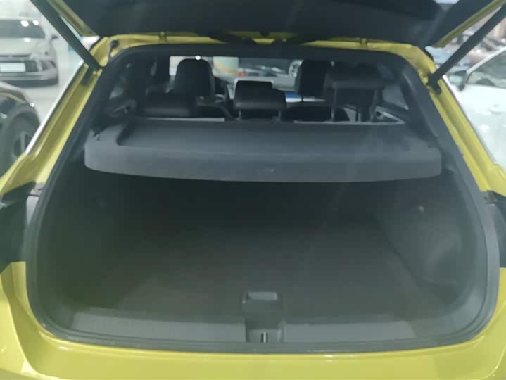 Volkswagen T-Roc 2023 2023款 300TSI DSG两驱星光版