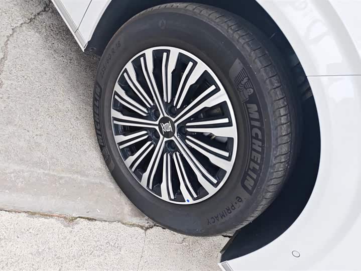 BYD Xia 2025 2025款 DM-i 1.5T 180km 超越型