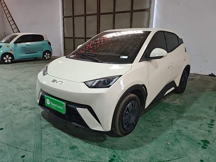 BYD Seagull 2025 2025款 305km 活力版