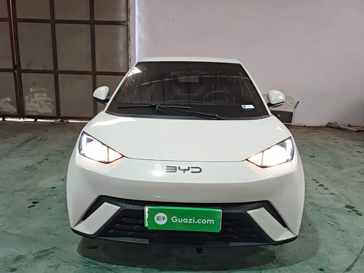 BYD Seagull 2025 2025款 305km 活力版