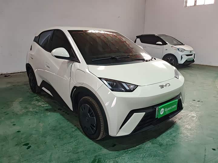 BYD Seagull 2025 2025款 305km 活力版