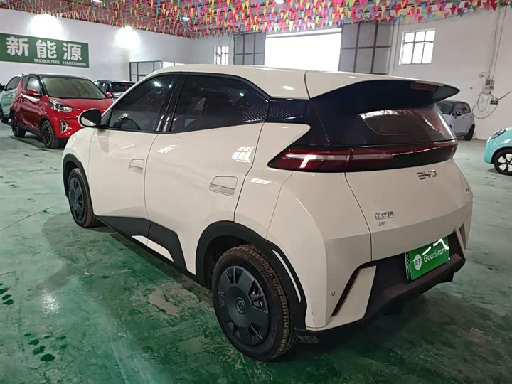 BYD Seagull 2025 2025款 305km 活力版