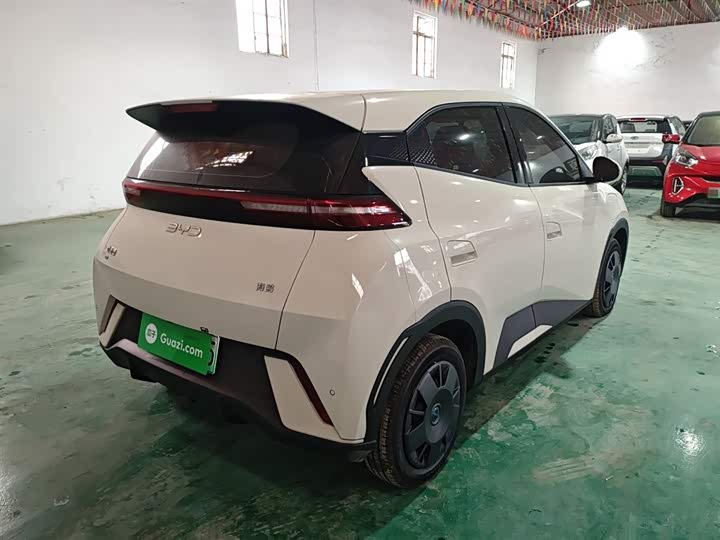 BYD Seagull 2025 2025款 305km 活力版