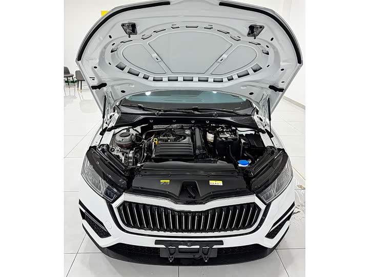 Skoda Octavia Pro 2023 2023款 改款 PRO TSI280 尊享版