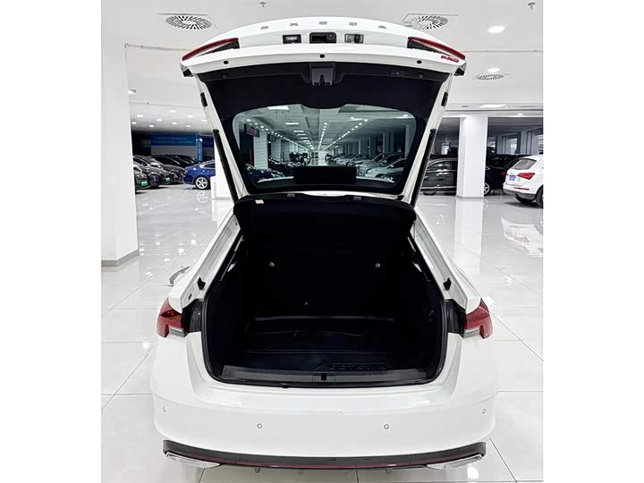 Skoda Octavia Pro 2023 2023款 改款 PRO TSI280 尊享版