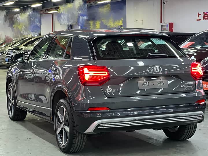 Audi Q2L e-tron 2019 2019款 Q2L e-tron 纯电智享型