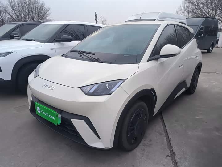 BYD Seagull 2025 2025款 305km 活力版